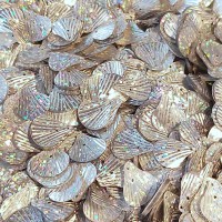 Flitre holographic silver 331